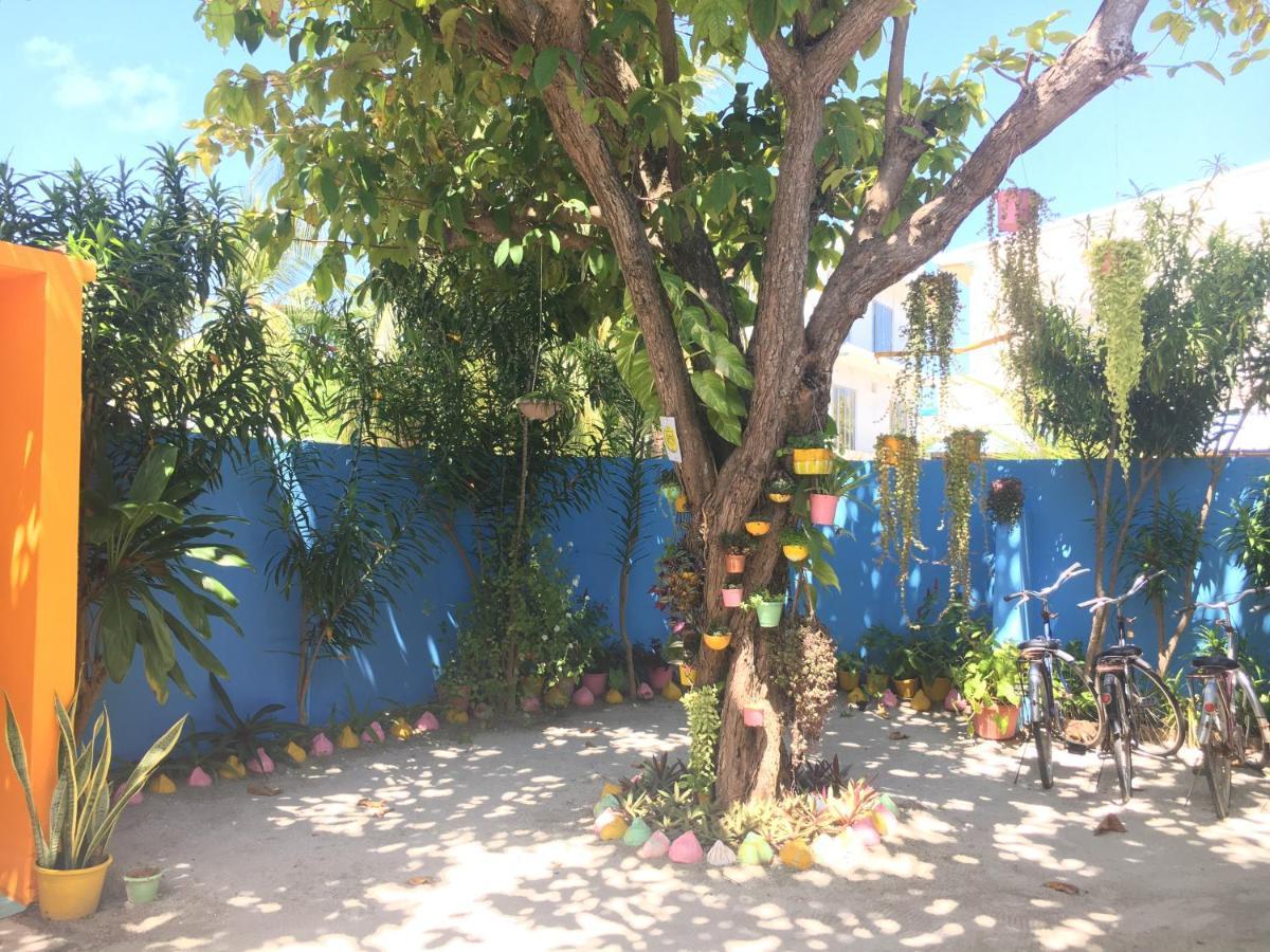 Midsummer Thulusdhoo Ngoại thất bức ảnh