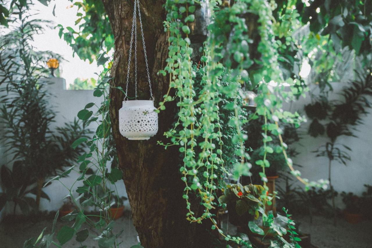 Midsummer Thulusdhoo Ngoại thất bức ảnh